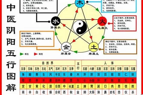 1984鼠五行|1984年属鼠的五行属什么